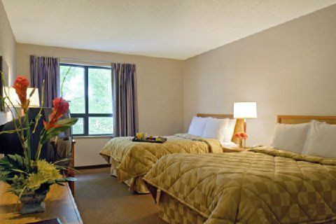 Comfort Hotel