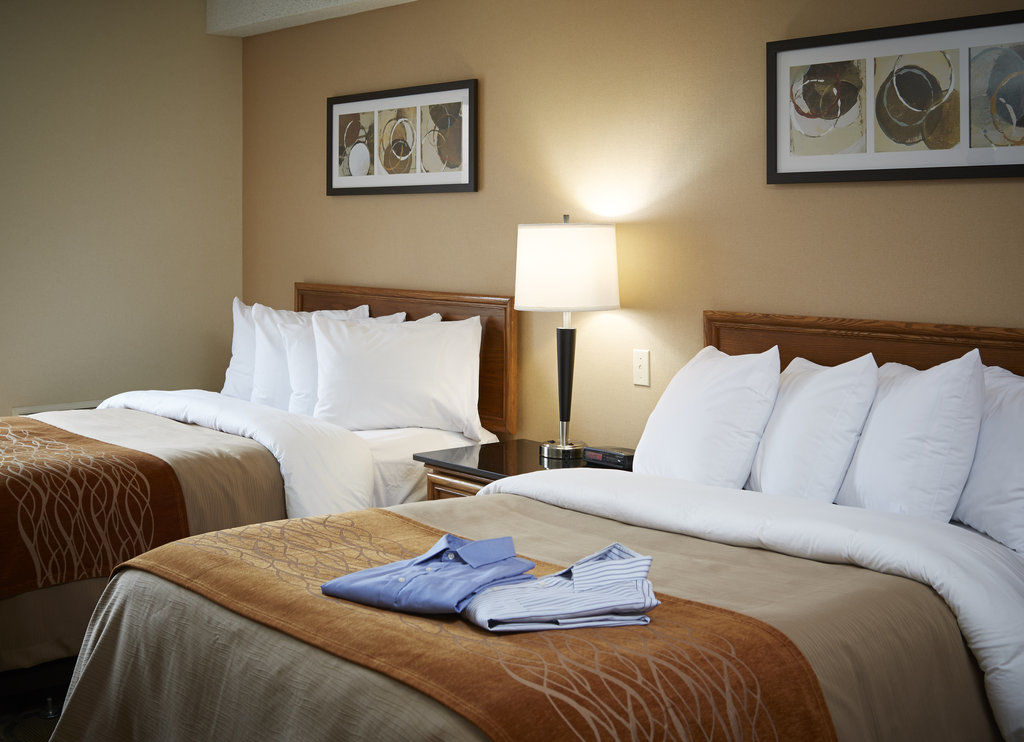 Hotel Comfort 3*