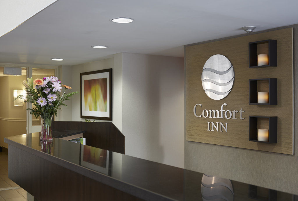 Comfort
